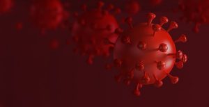 Hume council calls for more specific virus data