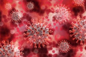 Active virus cases plummet