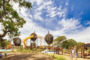 Play among the gum trees