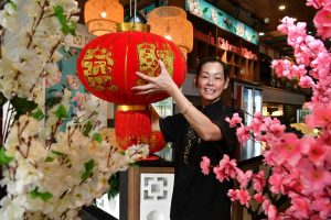 Celebrate the year of the ox