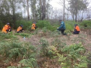 Blitz helps rehabilitate Plenty Gorge