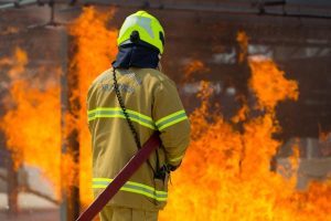 Cats rescued from garage fire