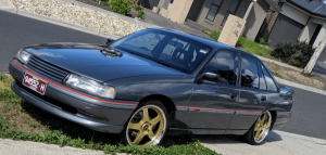 Appeal to identify Whittlesea burglars