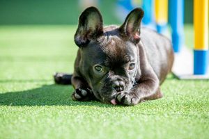 Little Angel needs your help