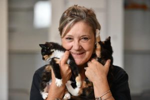 New shelter a refuge for cats