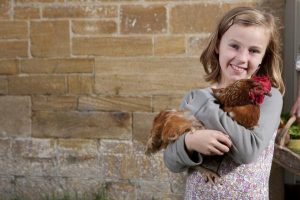 Add chickens to your backyard