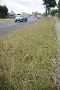 Time to get fire ready