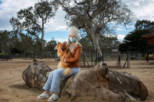 New parks for pooches