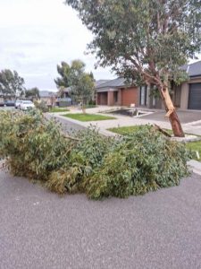 Storms cause damage across Hume and Whittlesea