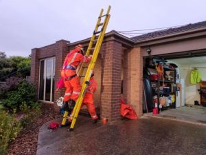 Two busiest periods in history for VICSES