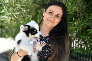 Support for vulnerable pets