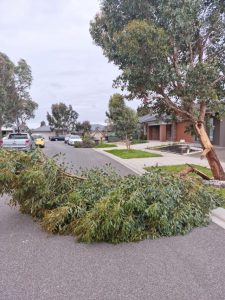 Storm clean up progress report