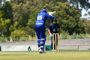 Close loss for Greenvale Kangaroos