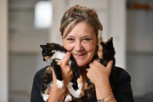 New shelter a refuge for cats