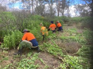 Blitz helps rehabilitate Plenty Gorge