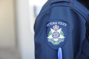 Police investigate attack on Mernda pet cats