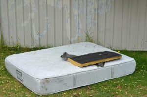 A day to clean up Hume