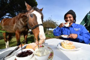 Living Legends, Melbourne Airport lauded
