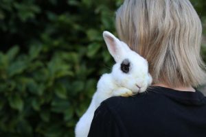 Bunnies are for life, not just for Easter