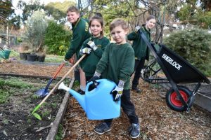 This week’s photographer’s choice