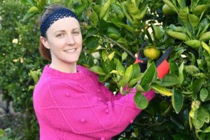 Community gardens grow in popularity after fresh produce price increases