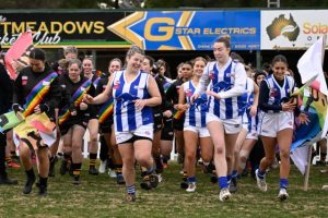 Tigers playing with pride