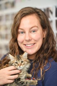 Animal shelter at Cat-pacity