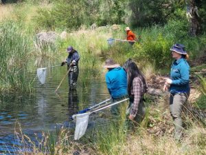 Nature stewards now open