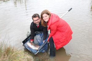 Rainbow trout stocks are up