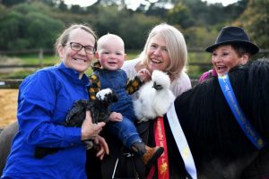 Show marks a century