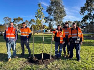 Demand for arborists in Whittlesea