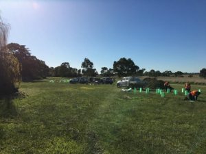 Plantings help cool creek
