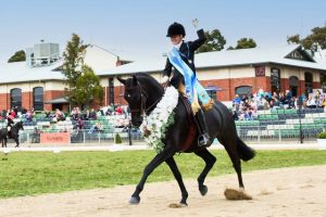 Ebonie gallops away with Garryowen