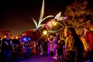 Winter lights to return