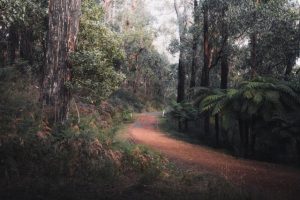 Landcare movement under review