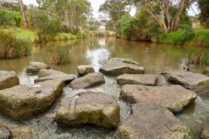 Protecting the state’s waterways