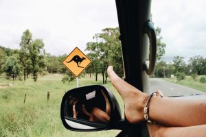 Top road trip tips