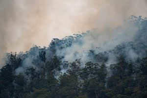 Homeowners urged to prepare for fires