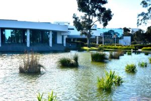 Whittlesea council calling on locals for feedback