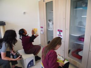 Students read to shelter pets