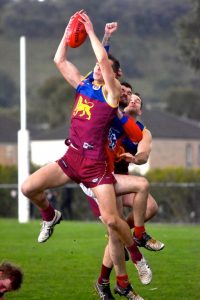 Lions winning start in division 2