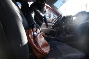 Greenvale teen arrested over break-ins