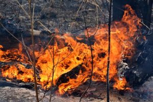 Planned burn-offs across Hume council