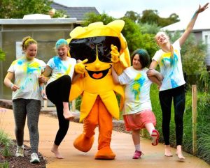 Hume events strategy opens for feedback