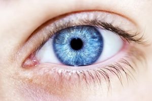 Light on the horizon for new eye clinical trials