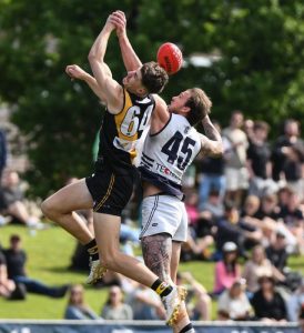 Tigers too good for Bulls