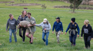 Edgar’s Mission gives Cedric a fresh start