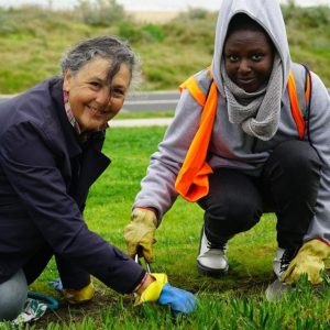 Help for green volunteers