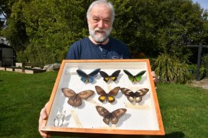 National insect expo crawls closer
