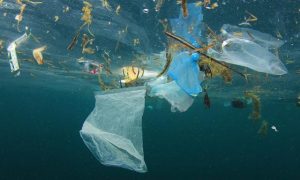 Lots to learn for Bundoora businesses says EPA